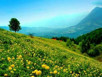 Mountain Wallpaper