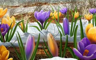 Easter Flowers Wallpaper