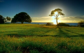 Desktop Wallpaper Background Beautiful Nature