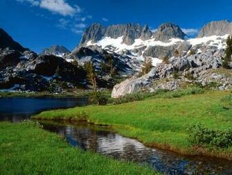 Nature Montana Logan Pass Beargrass Picture Nr