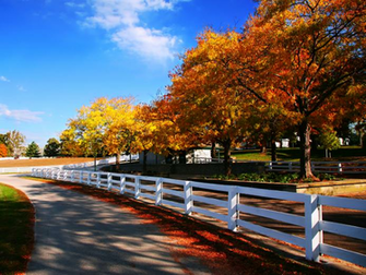 Horse Farm Autumn Wallpaper This Year S Election Is About Nothing