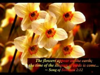 Spring With Bible Verses Scenic Reflections