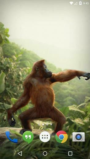 Dancing Monkey Live Wallpaper For Android