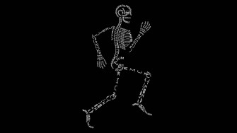 Skeleton Desktop Wallpaper