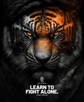 Ishwarya B On Thinking Quotes Tiger Warrior