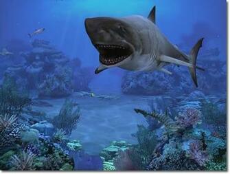 Prolific Publishing Inc Screen Savers Sharks Terrors Of The