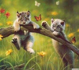 Pics Photos Cute And Very Wallpaper For