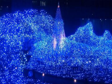 Blue Christmas Tree Wallpaper On