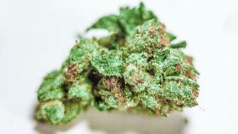 Scarface Marijuana Nug Wallpaper Pictures