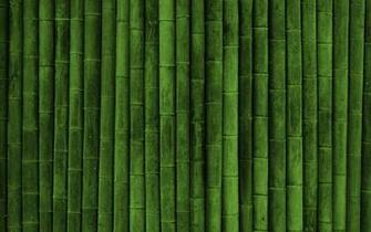 Bamboo Wallpaper
