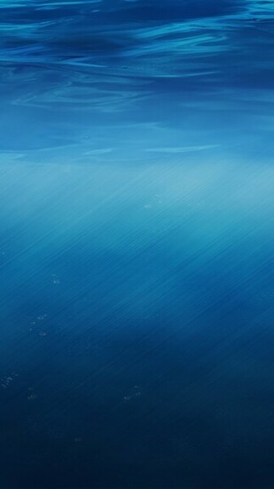 Underwater 5k Wallpaper HD