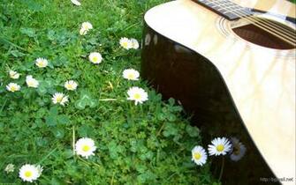 Flowers And Acoustic Guitar Wallpaper Background HD