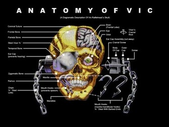 Anatomy Of Vic Rattlehead
