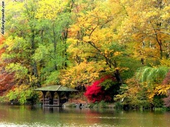 Fall Colors Background Myspace