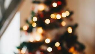 Green Christmas Tree With String Lights HD Wallpaper Ps