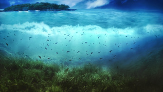 Water Wallpaper
