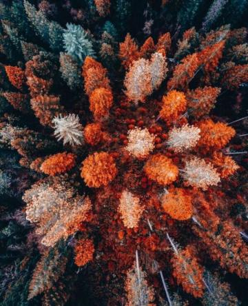 Aesthetic Fall Wallpaper Enjpg