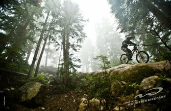Wallpaper Mountain Bike