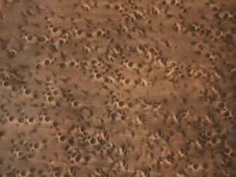 Hammered Copper Sheets