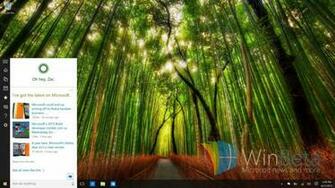 Windows Build Aufgetaucht