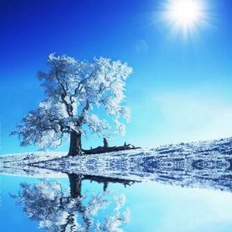 iPad Wallpaper Christmas Winter