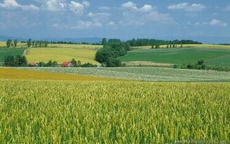 Wallpaper Windows Xp Desktop Windows7