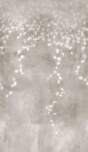 Trove Grotte Wallpaper Detail Wallcovering Wall