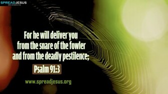 Psalm Bible Quotes Wallpaper When Calls Picture