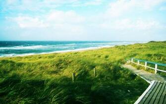 Relax Beautiful HD Wallpaper For