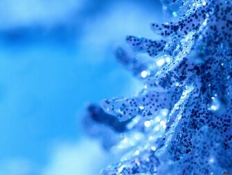 Spiritual Christmas Tree Wallpaper Gift Ideas