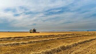 Wallpaper Field Farm Crop Crops Full