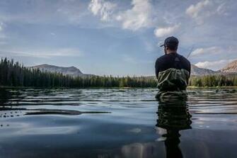 Uinta National Forest United States Pictures