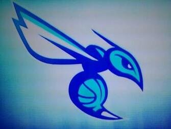Hornets Wallpaper Related Keywords Suggestions