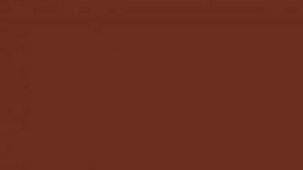 Liver Organ Solid Color Background