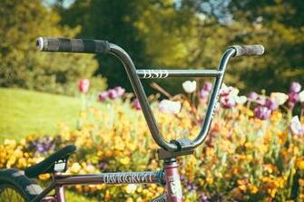 Nice Set Up Bsd S David Grant Ride Uk Bmx