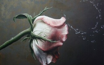 Still Life Roses Painting Flower Drops Flowers Wallpaper