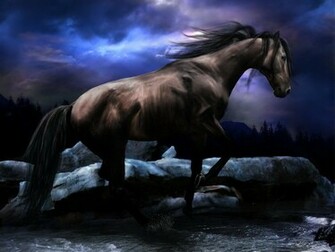 Black Horse Wallpaper Animals Desktop