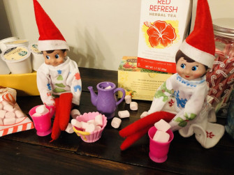 Elf On The Shelf Archives Glitter A Dime