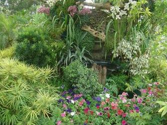 Tropical Flower Garden Wallpaper