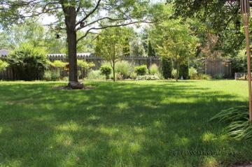 Best Backyard Background Wallpaper