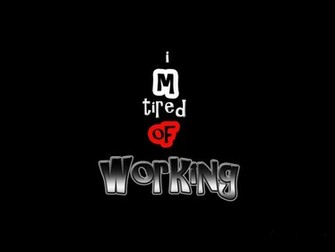 It S HD Animals Funny Wallpaper Cool