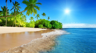 Hawaiian Beach Trees Palm Coast Ocean Waves Sandy Tropical
