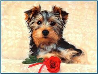 3d Screensaver Dog