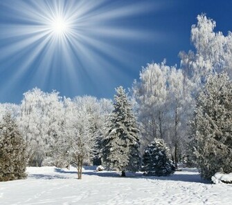 Winter Landscape Wallpaper Bonus Selection