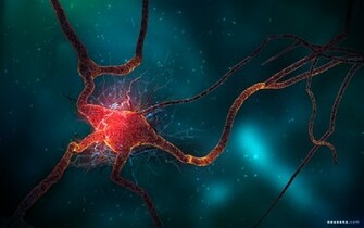 Neuron Cell Wallpaper HD