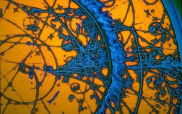The Strokes Wallpaper Subatomic Particles Bubble Chamber