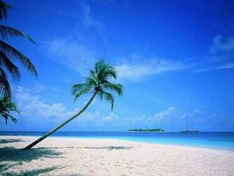 Beach Scene Wallpaper I Eat Grass
