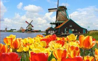 Windmill Wallpaper