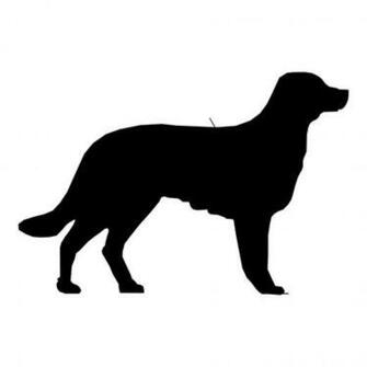 Dog Silhouette Babes HD Wallpaper