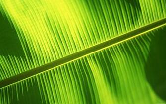 Pin 10wallpaper Landscape Wallpaper Bali Tropical Paradise Island On